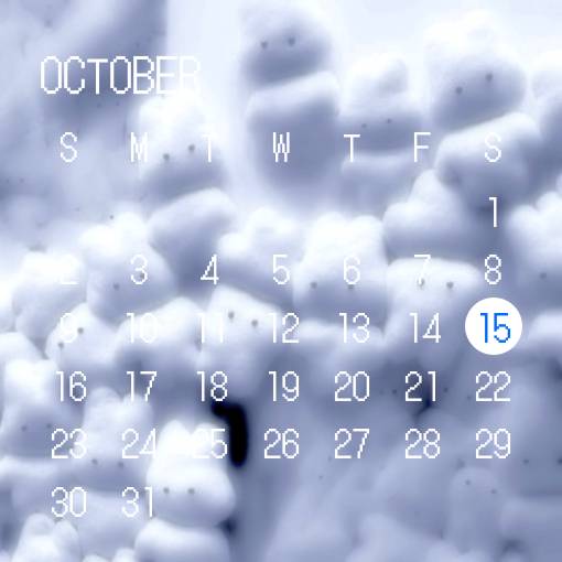 Kalender Widget ideer[qurqnI4Ilwa3bJmfs8D3]