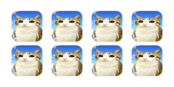 meowlApp Icon Pack[KdETHaFPOa8u6smZyuP2]