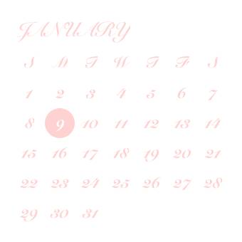 Calendar Widget ideas[EXYDjapbGw45NB5uCJWv]