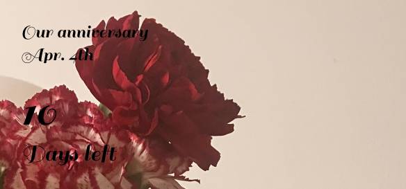 Cool Countdown Widget ideas[R7QxcdzsvkNssZMBLKkt]