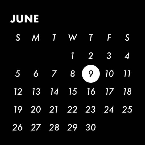 Calendar Widget ideas[9IerTJMzECOfbyy65VSn]