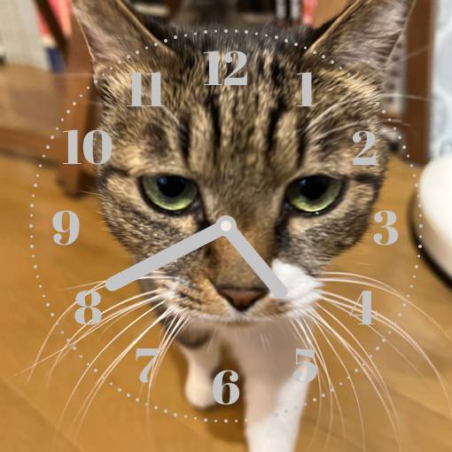 Clock Widget ideas[P9yhzCpOTqaWnGMTOOoY]