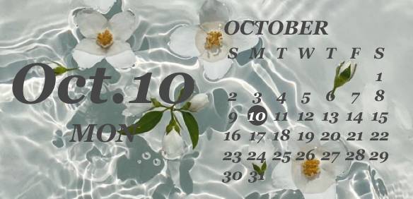 Kalender Vidinaideed[3VNRsSGB9XTOYjFCSIze]