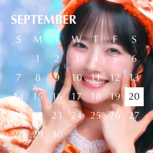 Pretty Calendar Widget ideas[nabD6Cc6ASUvphNVGOCP]