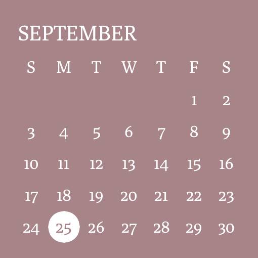 Rosa Calendario Ideas de widgets[templates_L5jvVpHrgmhXi9Bjz051_890CC68B-3A2E-4EBB-8648-9D42D4A701B2]