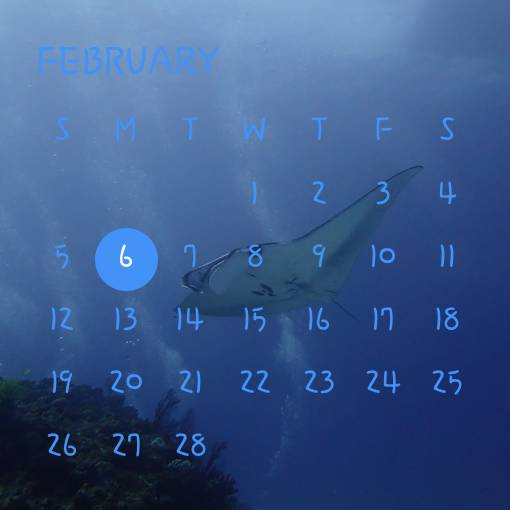 Calendar Widget ideas[6y78LM9pNgVCMxWgMU4Y]
