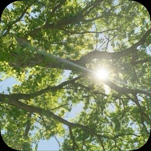 Photo Widget ideas[MeKww4xb4F7jImzVszu1]