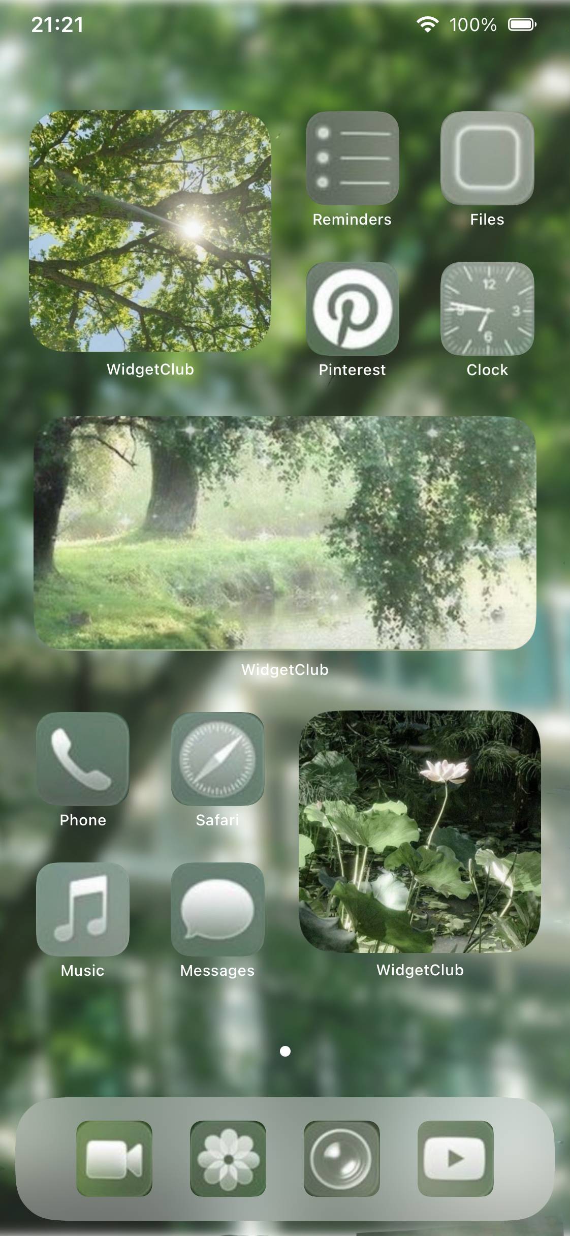 🍀*･゜ﾟ･*:.｡Home Screen ideas[MeKww4xb4F7jImzVszu1]