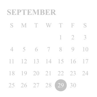 Calendar Widget ideas[2laCeEXvBYxl0Sa2kzG4]