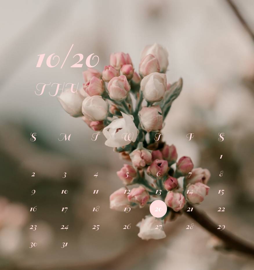 Kalender Ide widget[yx3z5jHTCsiSnibLZBjf]