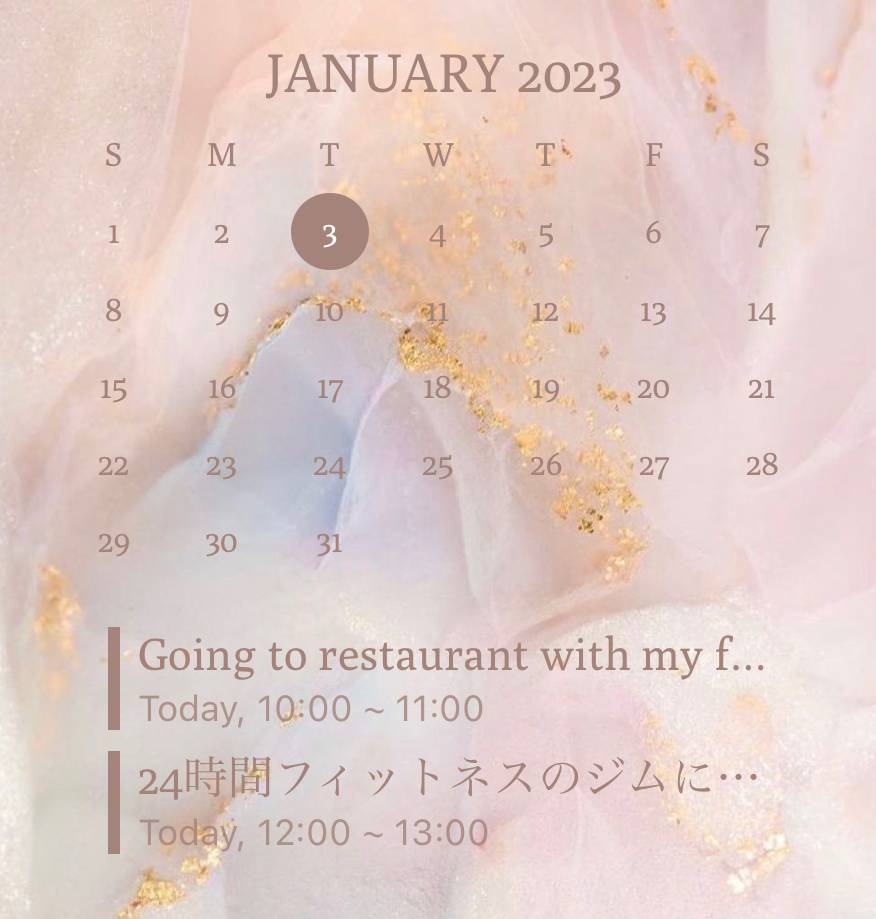 schedule Calendar Widget ideas[3WfI4UoneSkJmeEGlJwx]