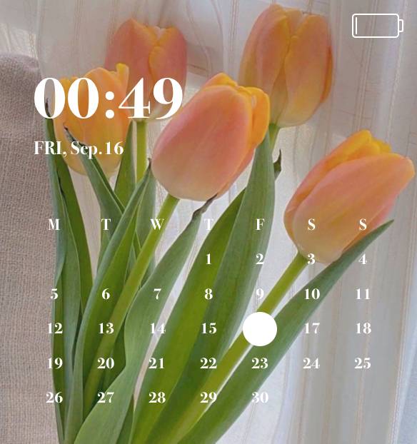 Calendario Ideas de widgets[dXb0t68qyZscra6JR2Qv]