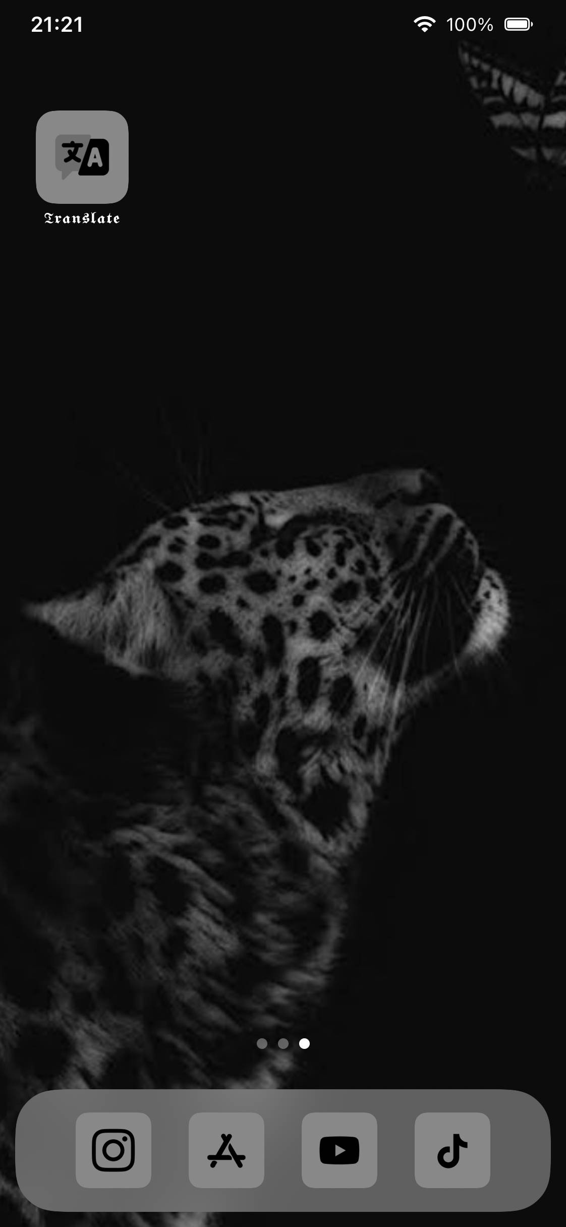 cheetah print black aesthetic🖤ایده های صفحه اصلی[sBY5pMVTnCUO9rmHljFo]