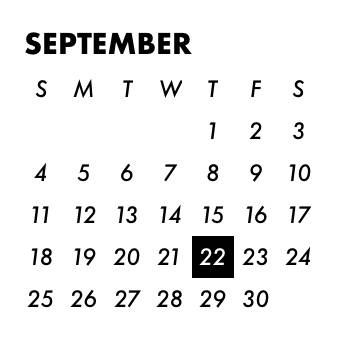 Kalendář Nápady na widgety[J4Ev4Iunsd7RG8qGjwMK]
