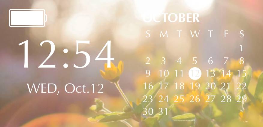 Simple Calendar Widget ideas[DujqmxsyCAu4fdXervFj]