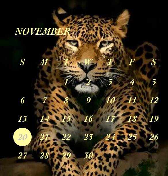 Bello Calendario Idee widget[weq4ZYjbrLdb5yWzOlfx]