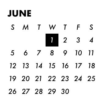 Calendar Widget ideas[S0lciswZeVnU4gcYOAQT]