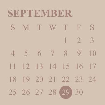 Calendar Widget ideas[LxV4LQp8j1uLYVMJpASf]