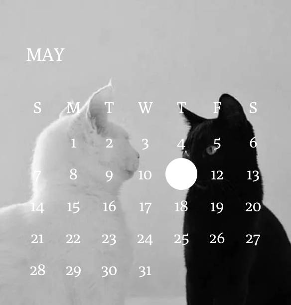Calendar Widget ideas[R428e7Vs3oAaSi2Zs5aO]