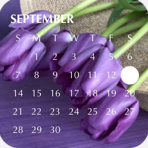 Simple Calendar Widget ideas[OO4dNqEwj5cFY0vxWhvF]