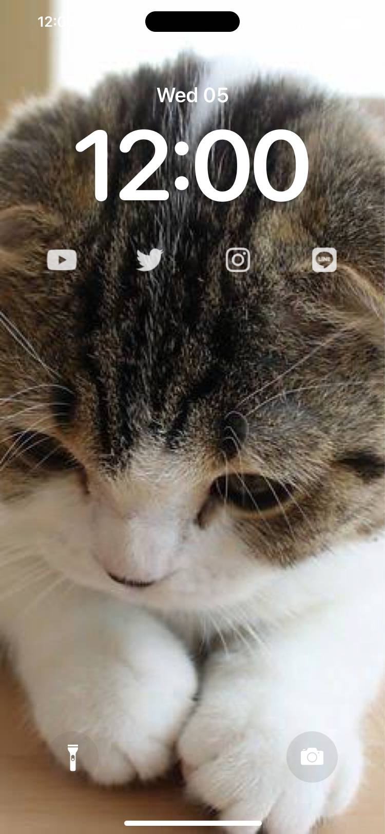 Cat Lockscreen[P09CXJ6kmz6r9XSMxcC9]