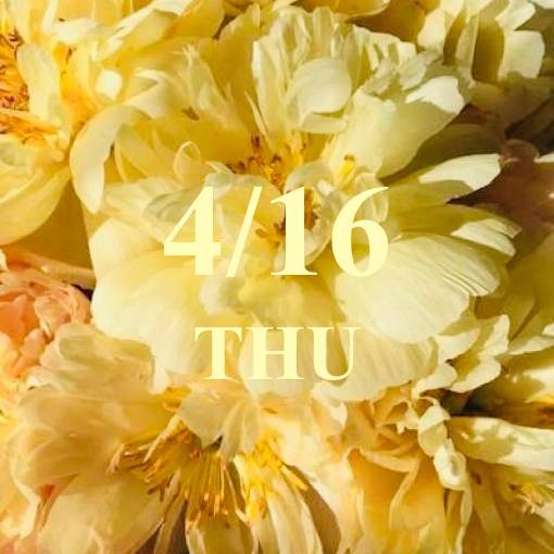 Pastel Date Widget ideas[ZfbmZ3QORleWVJCtxLt7]