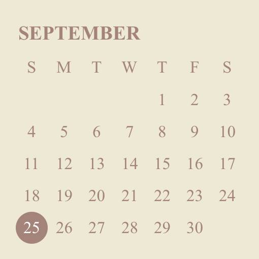 calendarKalendar Idea widget[DQYiGDEttgloIKXqZspP]