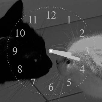 ねこ Horloge Idées de widgets[ovVvyksS8DyKe5svAOGK]