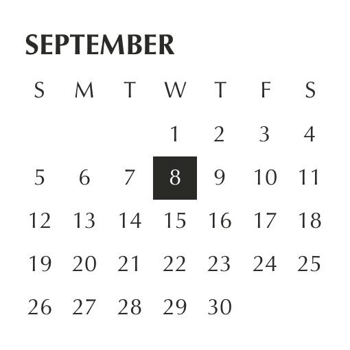 Smart white & black widget Kalendár Nápady na widgety[rGNz02XMJ5xhMczqJsQh]