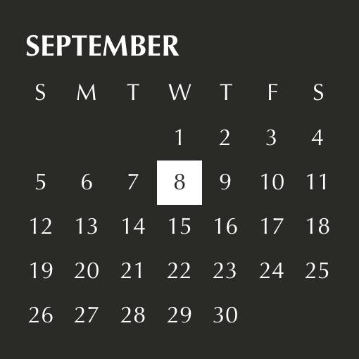 Sophisticated black widget 日曆 小部件的想法[v9Fd5080xip2YpXMMnnC]