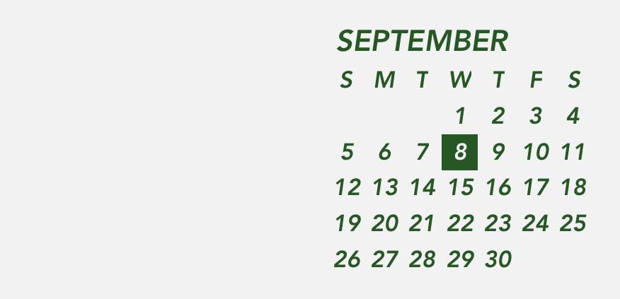Dark green gray widget Kalendarz Pomysły na widżety[B2sN1DiXCoWLIAi3r3KT]