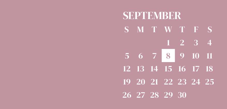 Mystic pink widgets Calendar Widget ideas[QKV3jbBQgl38NYL8E4fY]