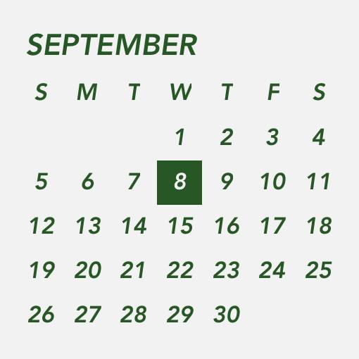 Dark green gray widget Kalender Widget-Ideen[4R0ZctSfl1ecTu8Bu3Oy]