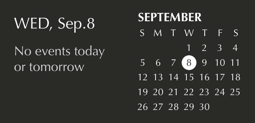 Sophisticated black widget Календар Идеје за виџете[lxajnWDrTymhLKLTL9N9]