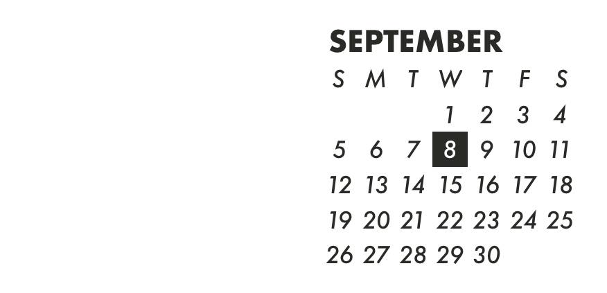 Cool white & black widget Calendar Idei de widgeturi[ePBSciSSePUuLKK5z8Xa]