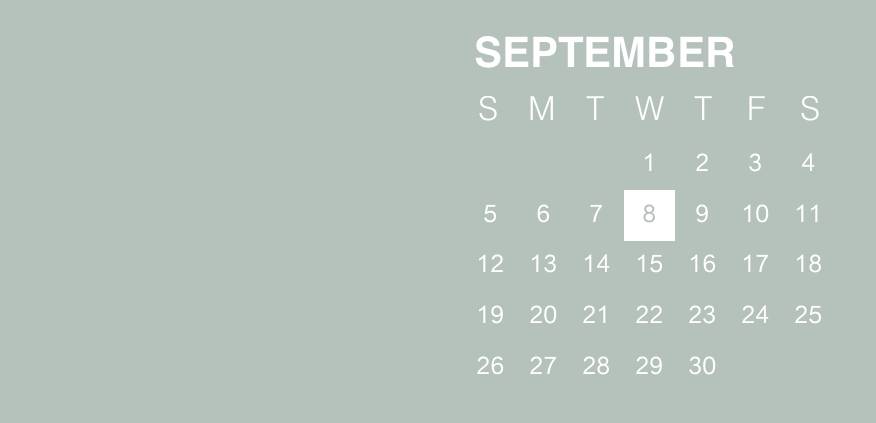 Neutral leaf widget Calendar Idei de widgeturi[9JsSffIwyy03hqiKeimX]