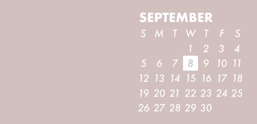 Simple pink widget Calendar Widget ideas[qC29cLgIsSxBVhzv3ei9]