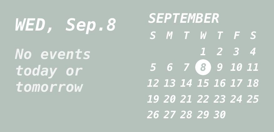 Neutral leaf elegant widget Kalendar Idea widget[r6KwCqEZJbluiAsEZc7B]