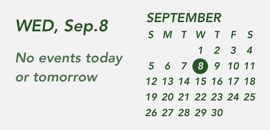 Dark green gray widget Calendar Idei de widgeturi[acEyT3J4ROMqC6zKLAo2]