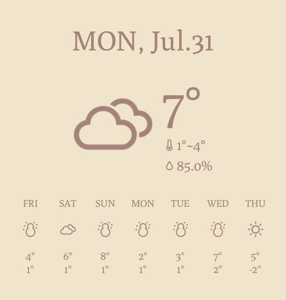 Weather Widget ideas[WXfcF1eQeBJ1bthgU1L1]