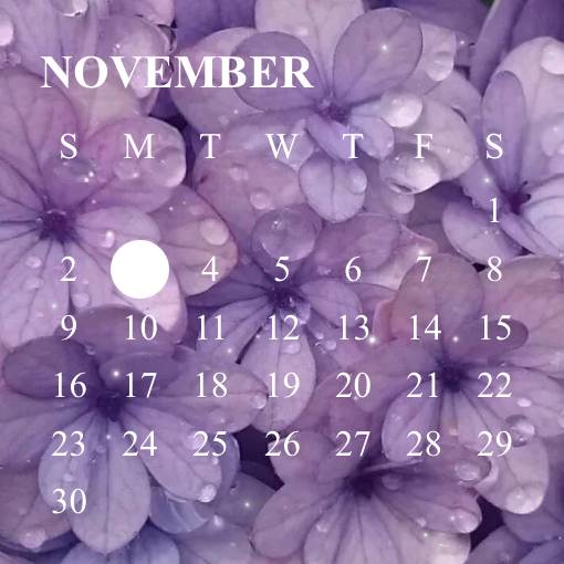 Calendar Widget ideas[lelB4BqYkdD2rCWspPOo]