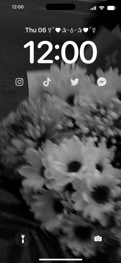 black flowerBloquear pantalla[YtZy8r2Tc270kul5XI20]