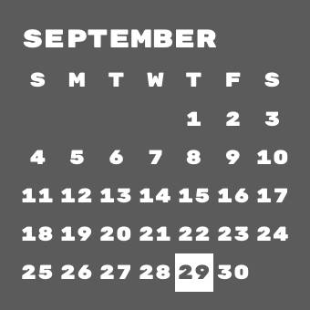 Calendar Widget ideas[4U0ICJjvLYIZ7iGELpOa]