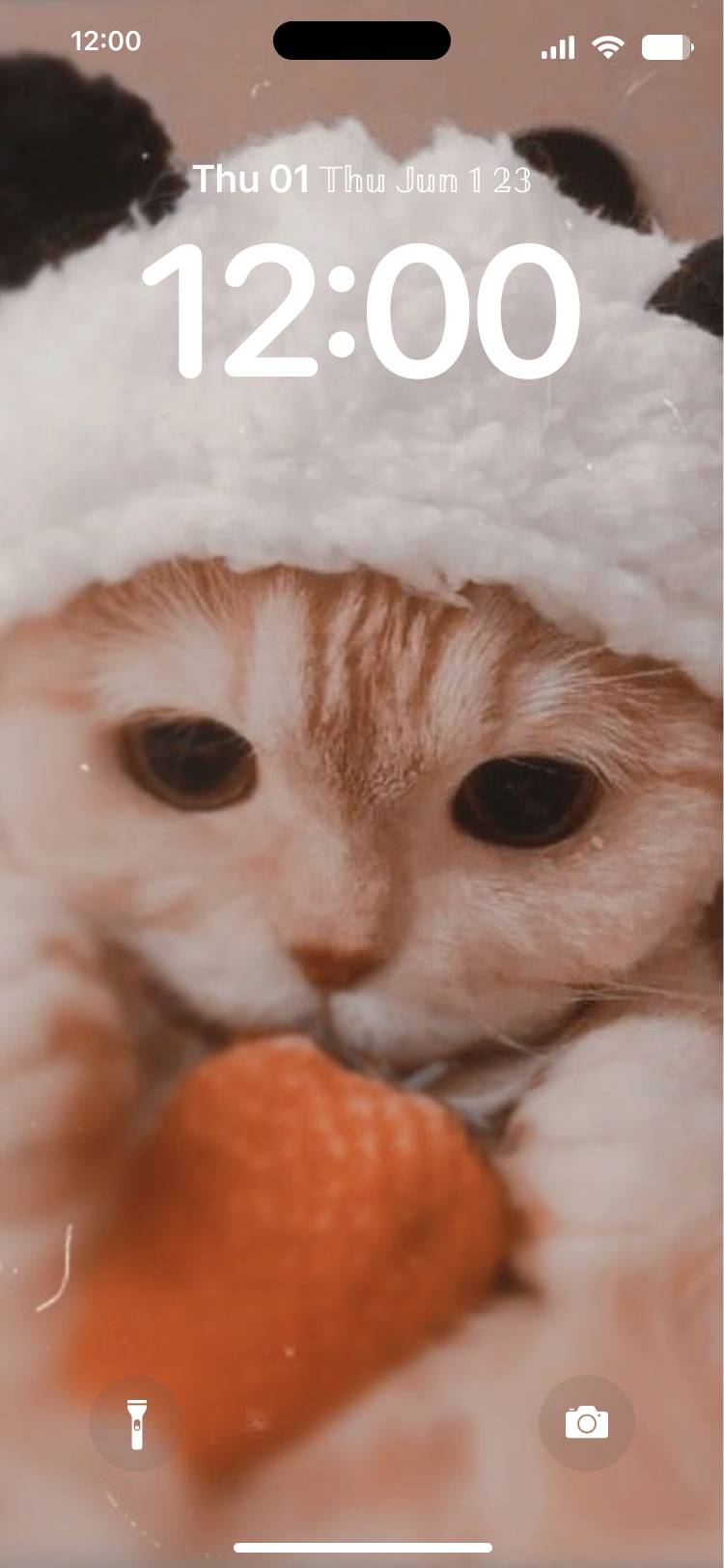 Cat Lockscreen[gGe89fJDacicTfx1tpww]