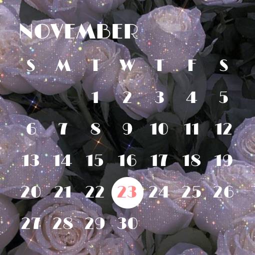 カレンダー Calendario Ideas de widgets[Et29rSNkEM4j5aD27Itl]