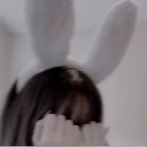 🐰写真ウィジェット[ysUi1rl5tnVnyczS6qJK]