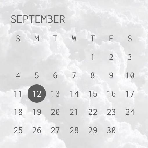 カレンダー Calendar Widget ideas[hJC66243bw5eTiDtF2DV]