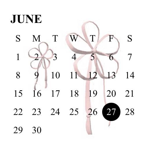 Kpop Calendar Widget ideas[833srNR1dcxiPmj8z2FV]