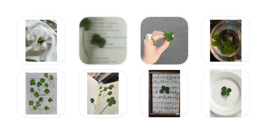 クローバー🍀 חבילת אייקונים של אפליקציה[0fDzJgBvxTpWKwYc3bJ4]