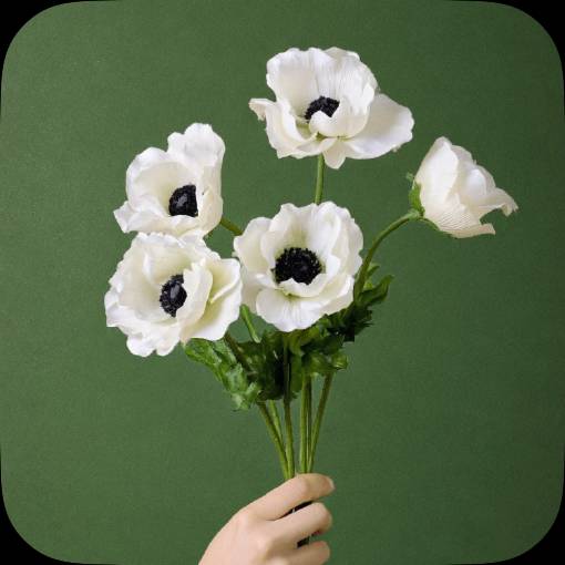 سرد عکس ایده های ویجت[templates_NCTVaRcP98nqnM1csqvh_474492FE-1EE1-4344-8422-717890410D96]